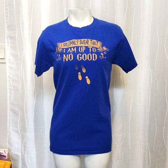 Hanes Tops - Hanes "I Solemnly Swear" Shirt